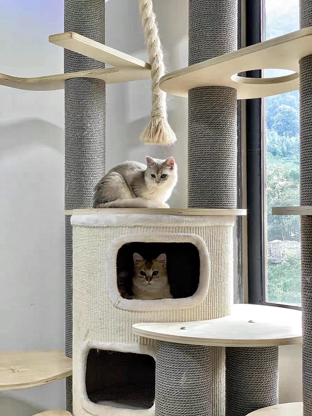 Honeypot Cat Multi-Layer Cat Villa for Large Cats